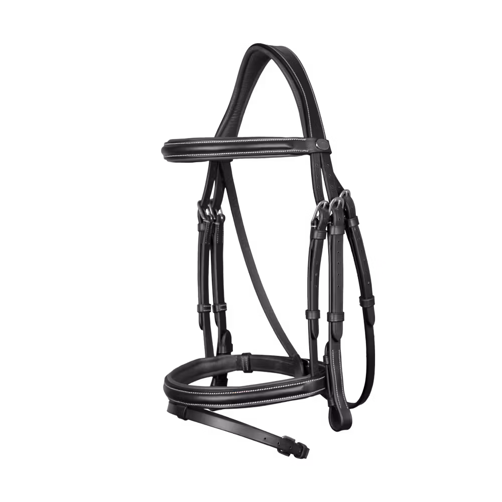 Flash Noseband Bridle