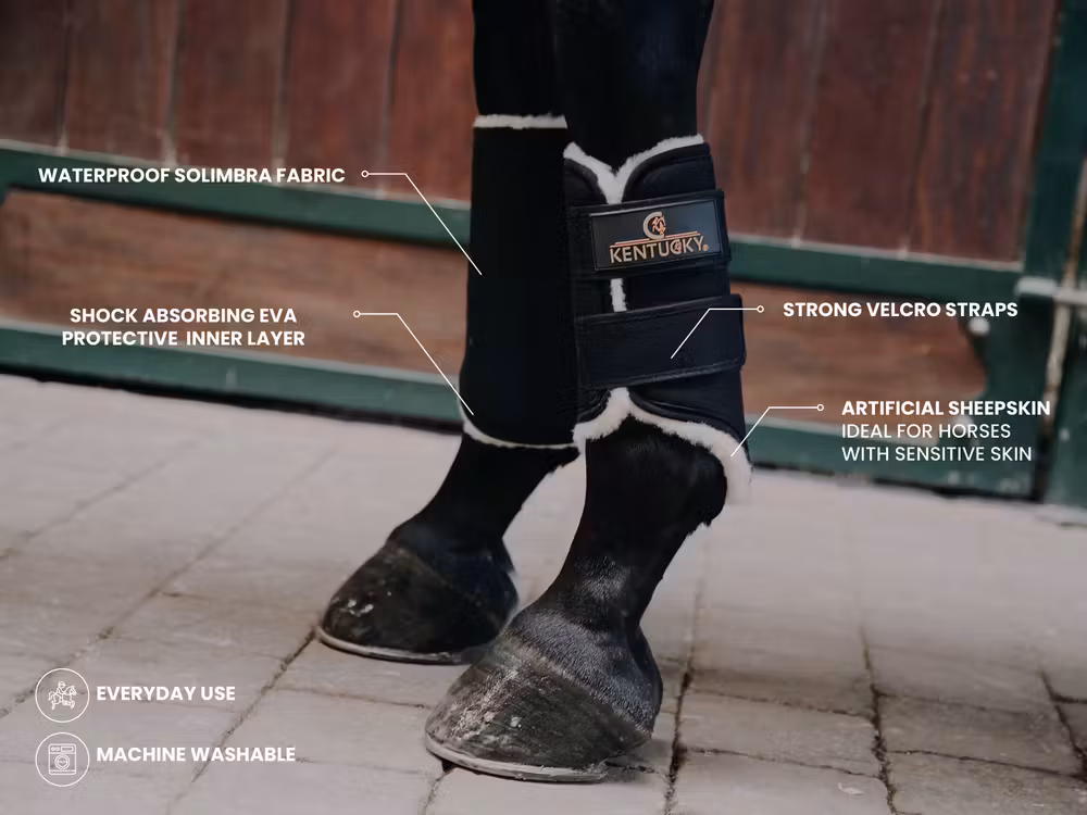 Turnout boots Solimbra black front