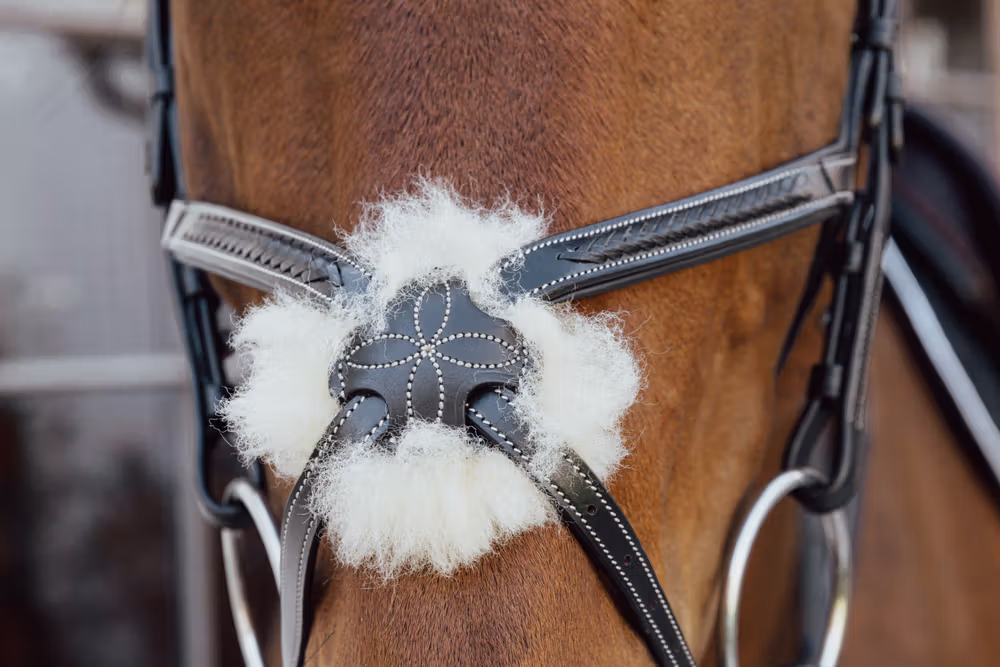 Plaited Figure 8 Noseband BLACK COB