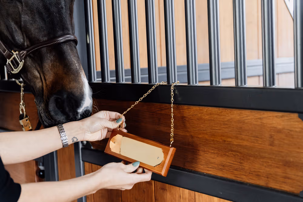 Stable Name Plate Hanger