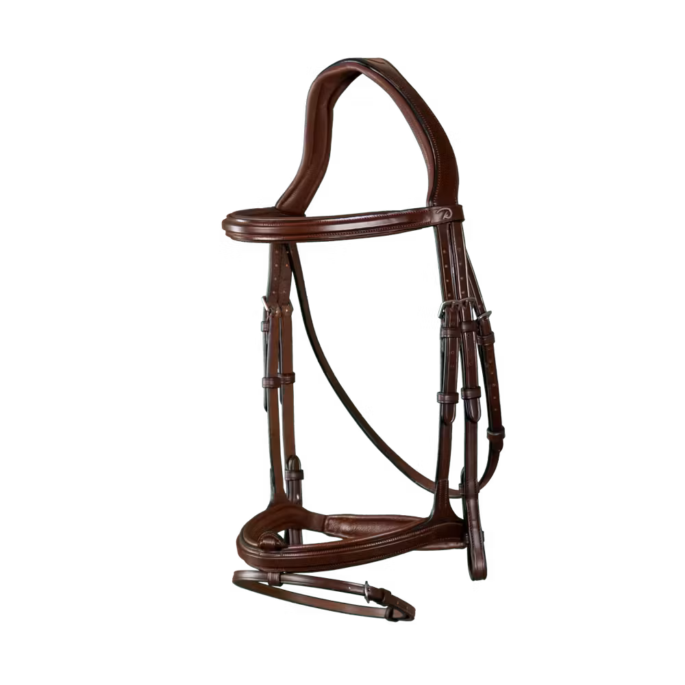 Flash Noseband Bridle