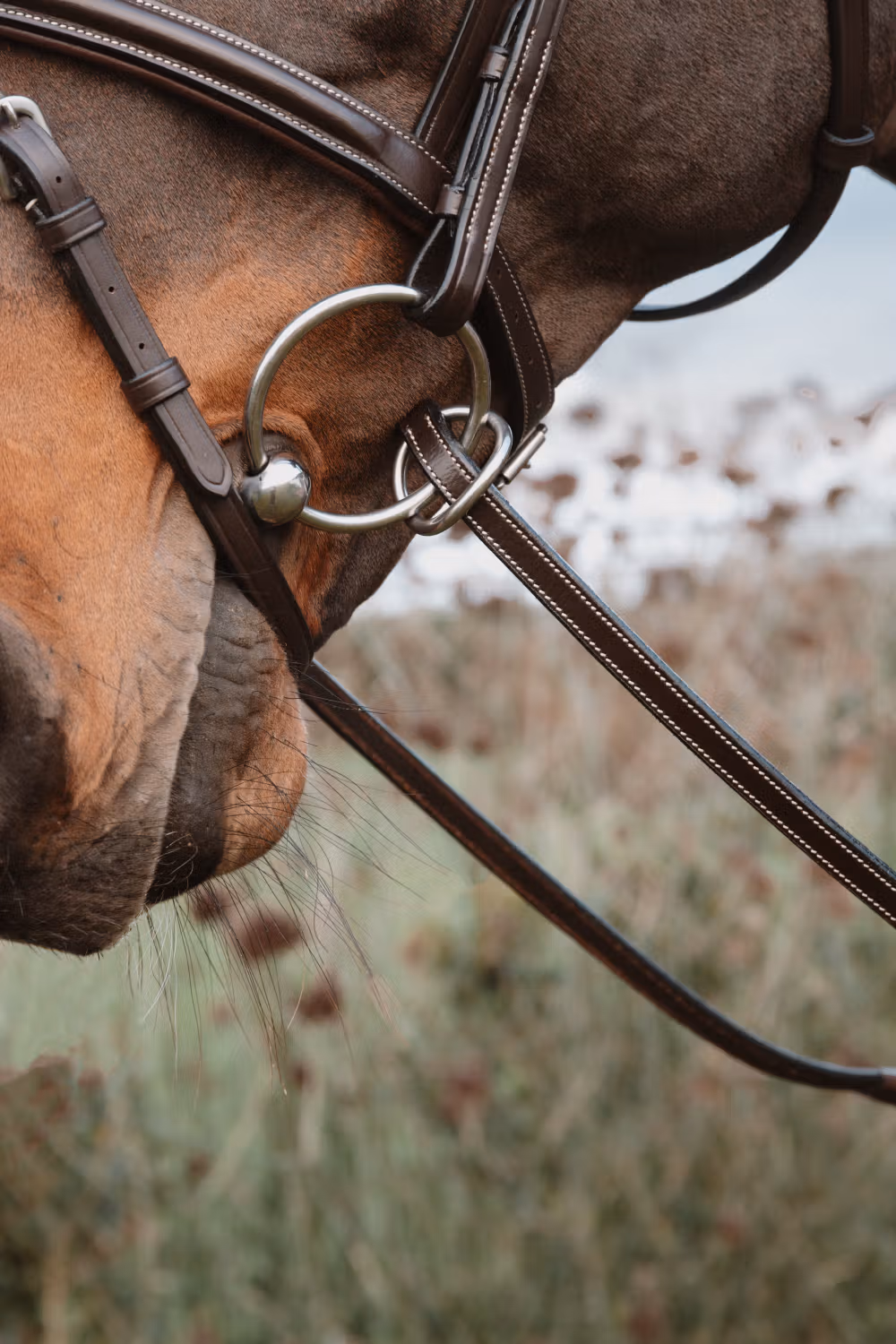 Rubber reins 1/2u2019u2019 with 7 leather stops, ring closur WO coll, Full/brown