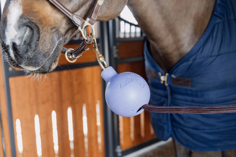 Lead & Wall protection rubber ball lavender size S 11.5cm
