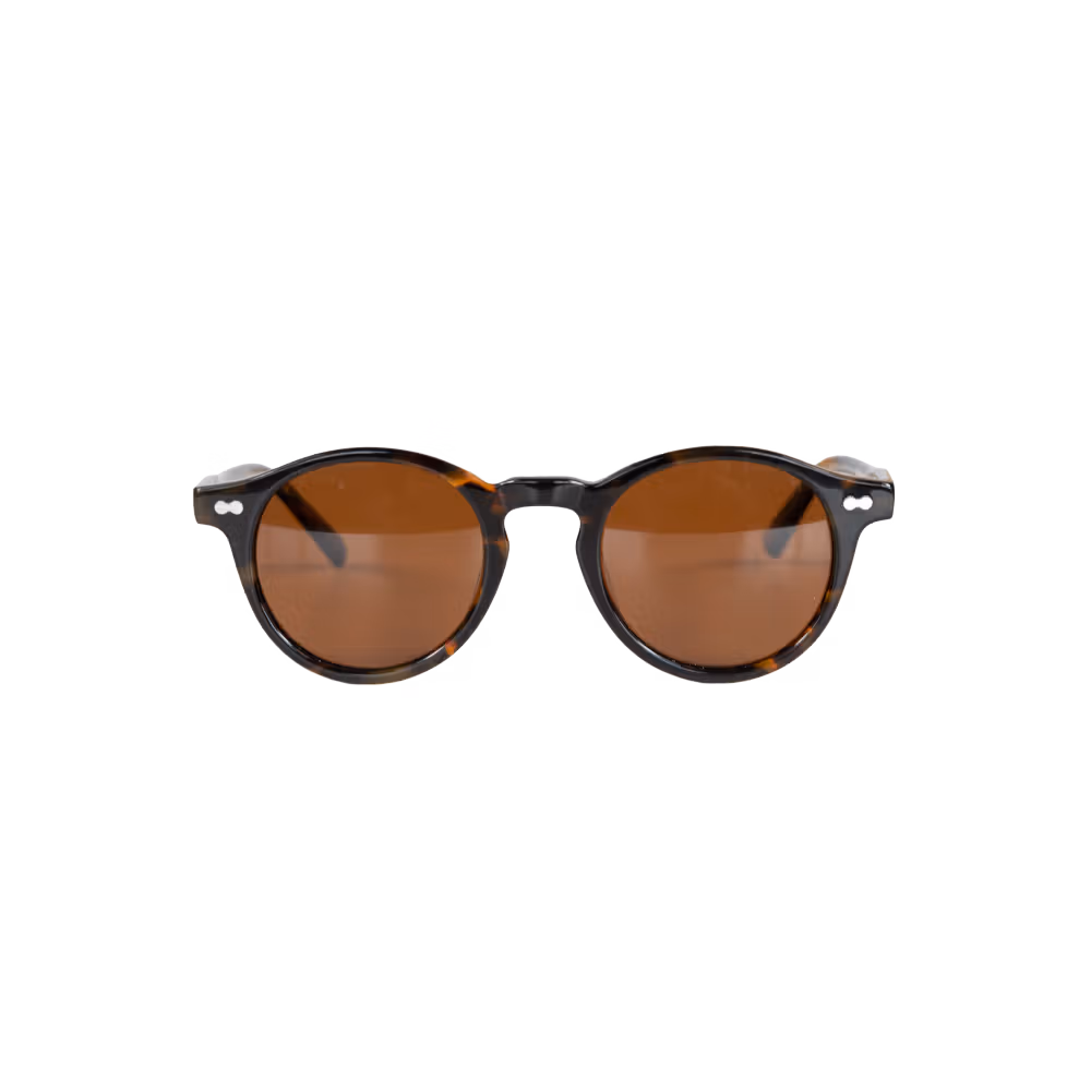Sunglasses brown Alvin