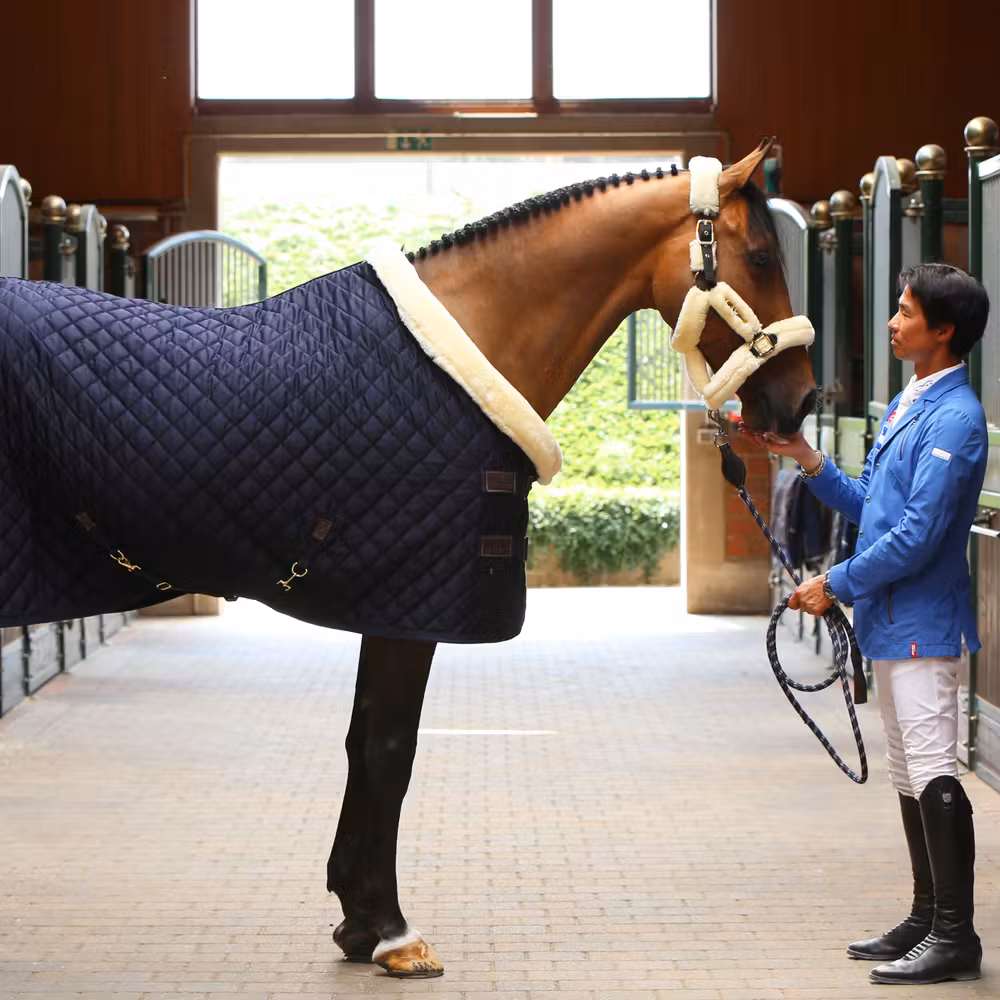 Show rug navy 145-6'6 160 gram