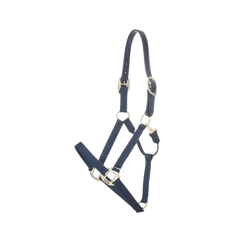 Nylon halter Breakaway old rose Shetland Pony