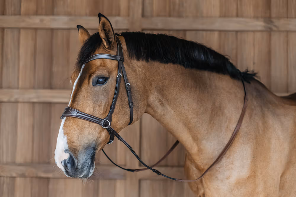 Working Motion Bridle Brown Full WBD