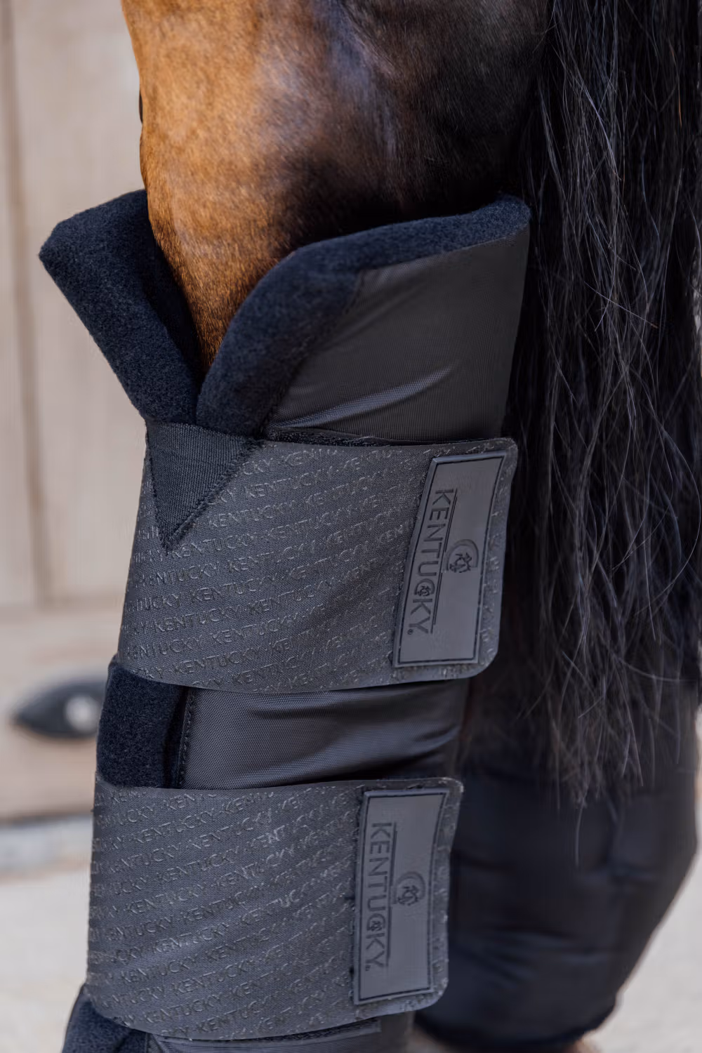 Stable boots PROtect classic hind black size L