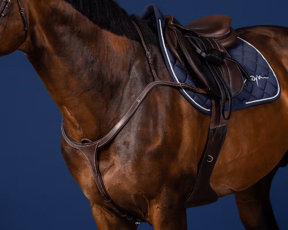 Long Bridge Breastplate