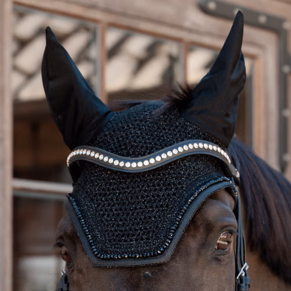 White Swarovski V-Shaped Browband