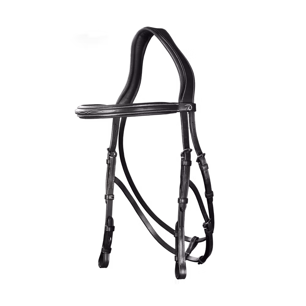 Hackamore Bridle