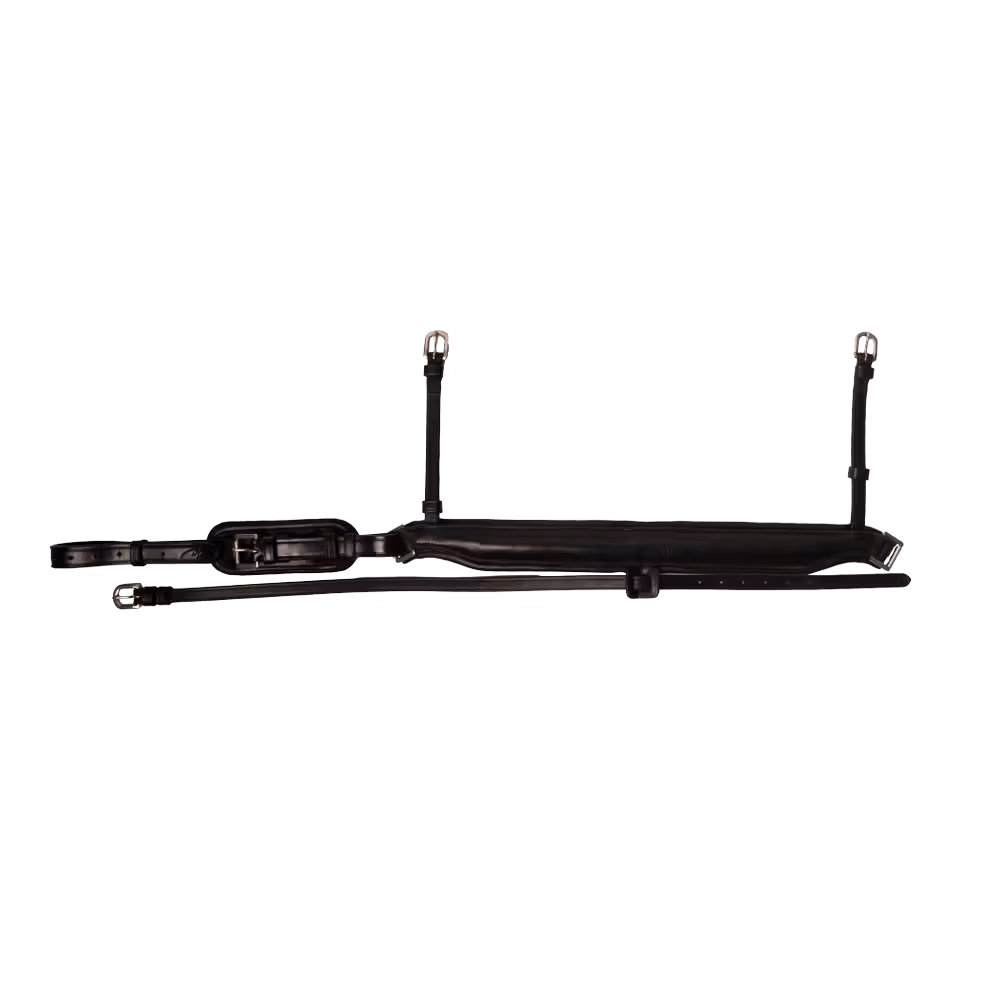 Crank Noseband Matt Special FEI