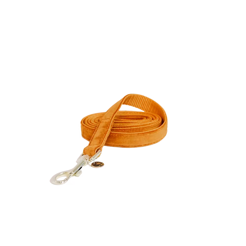 Dog lead velvet soft rose size S 120cm