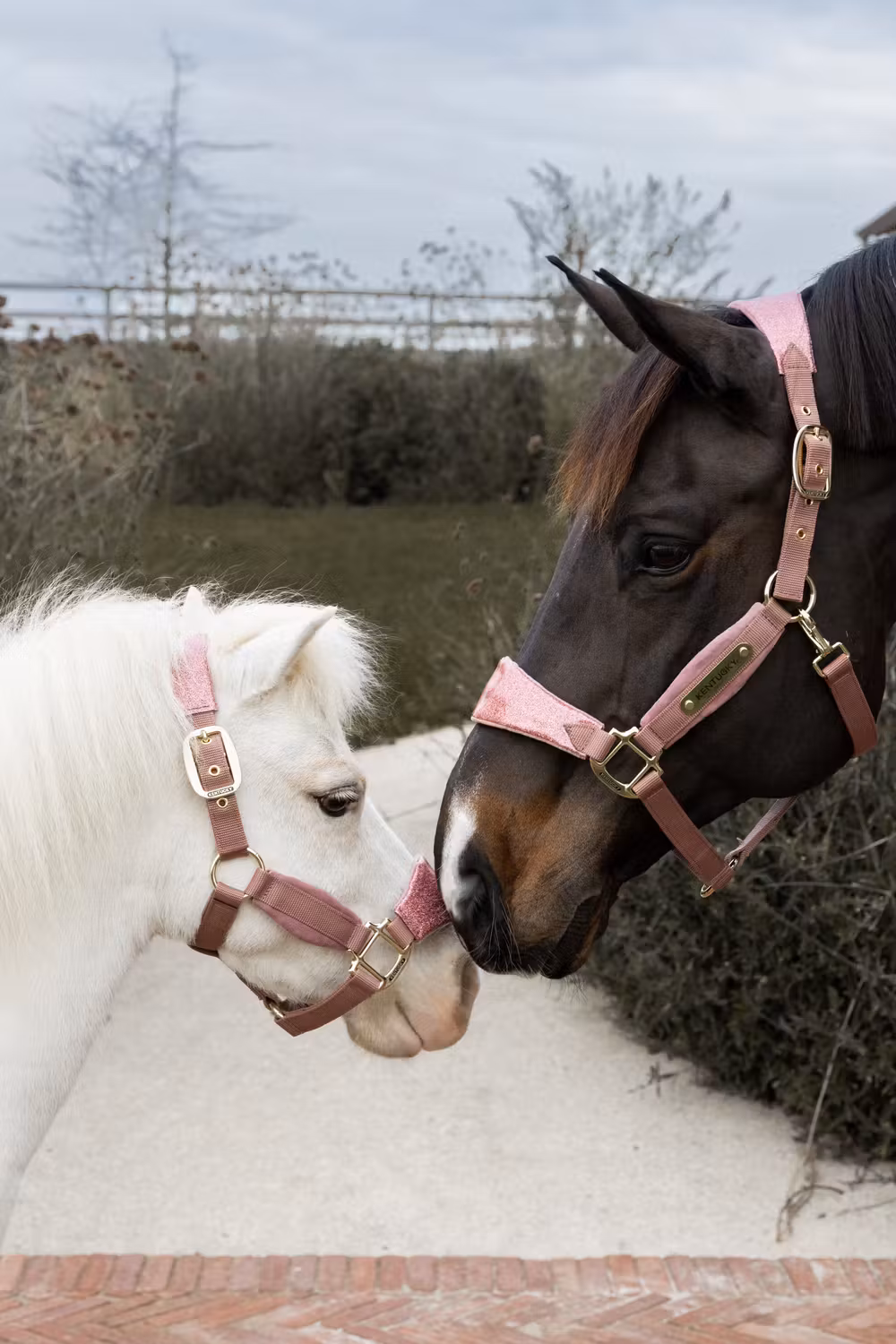 Velvet halter unicorn glitter old rose cob