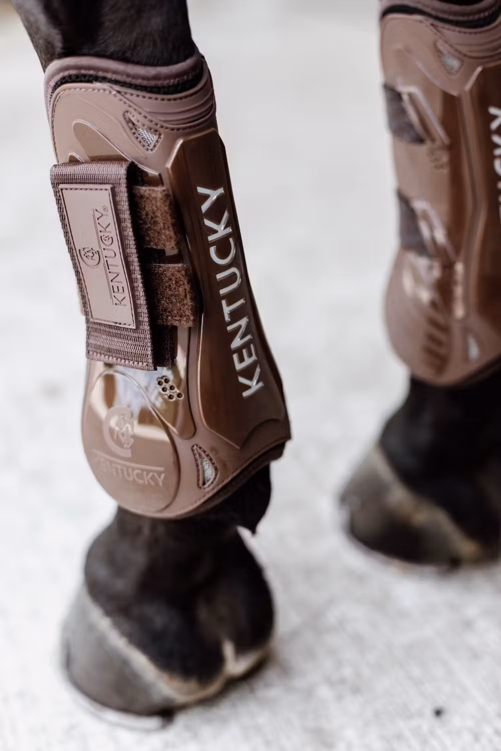 Tendon Boots Velcro brown M