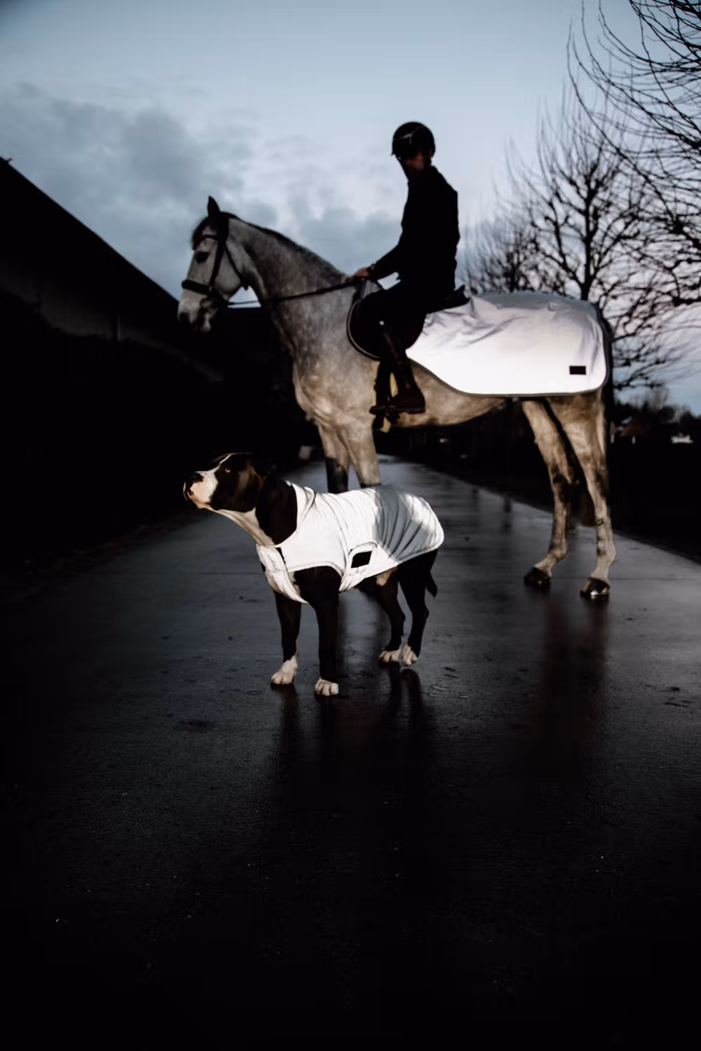 Dog coat reflective & water repellent belly cover silver 150g XS 31cm