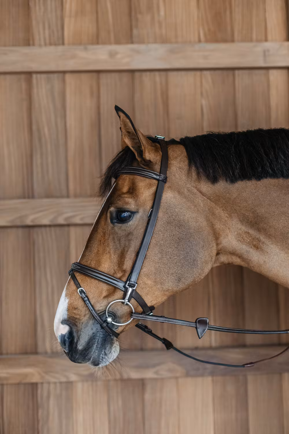 Training Bridle Brown Full WBD