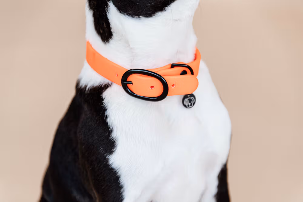 Dog collar soft rubber neon orange XS 37cm