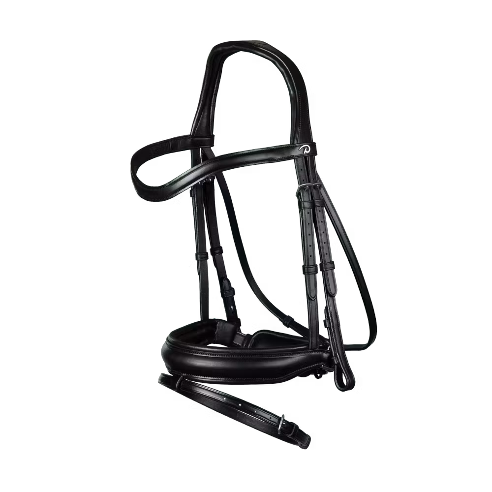 Matte Medium Crank Noseband Bridle With Flash