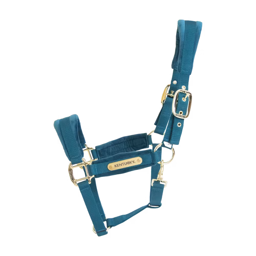 Velvet Halter old rose cob