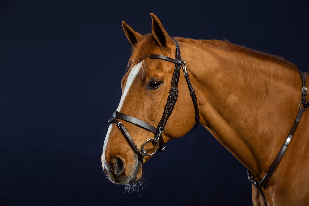 Flat Leather Bridle With Snap Hooks