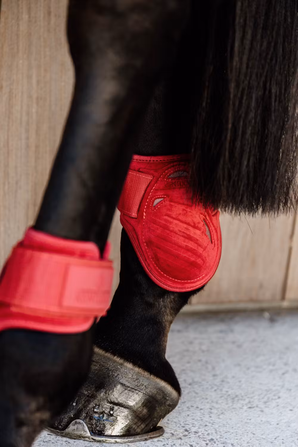 Young Horse fetlock boots Velvet red S