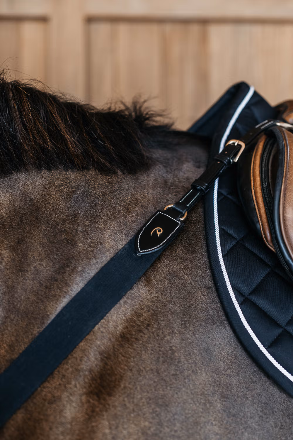 Elastic Breastplate Black Full D