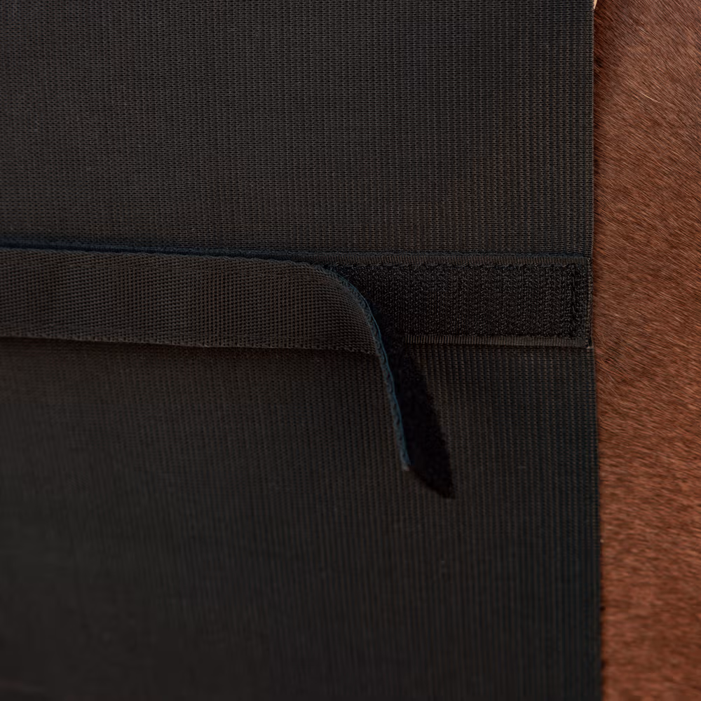 Belly band horse Full black