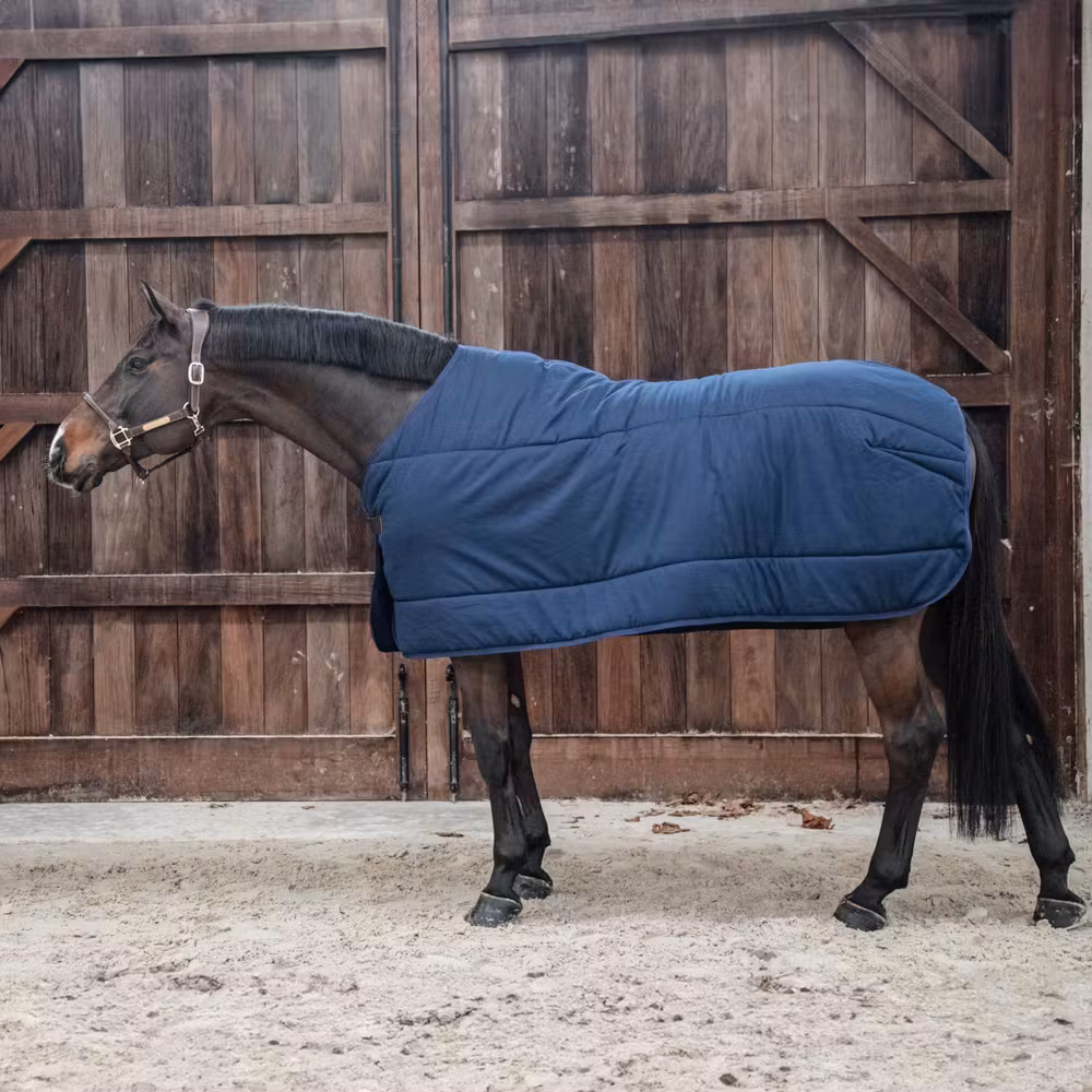 Under rug Classic navy 145-6'6 100 gram
