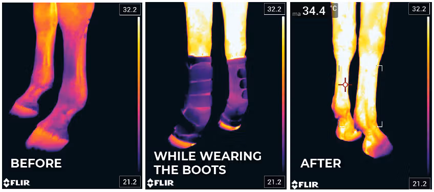 Magnetic Stable boots Recuptex black