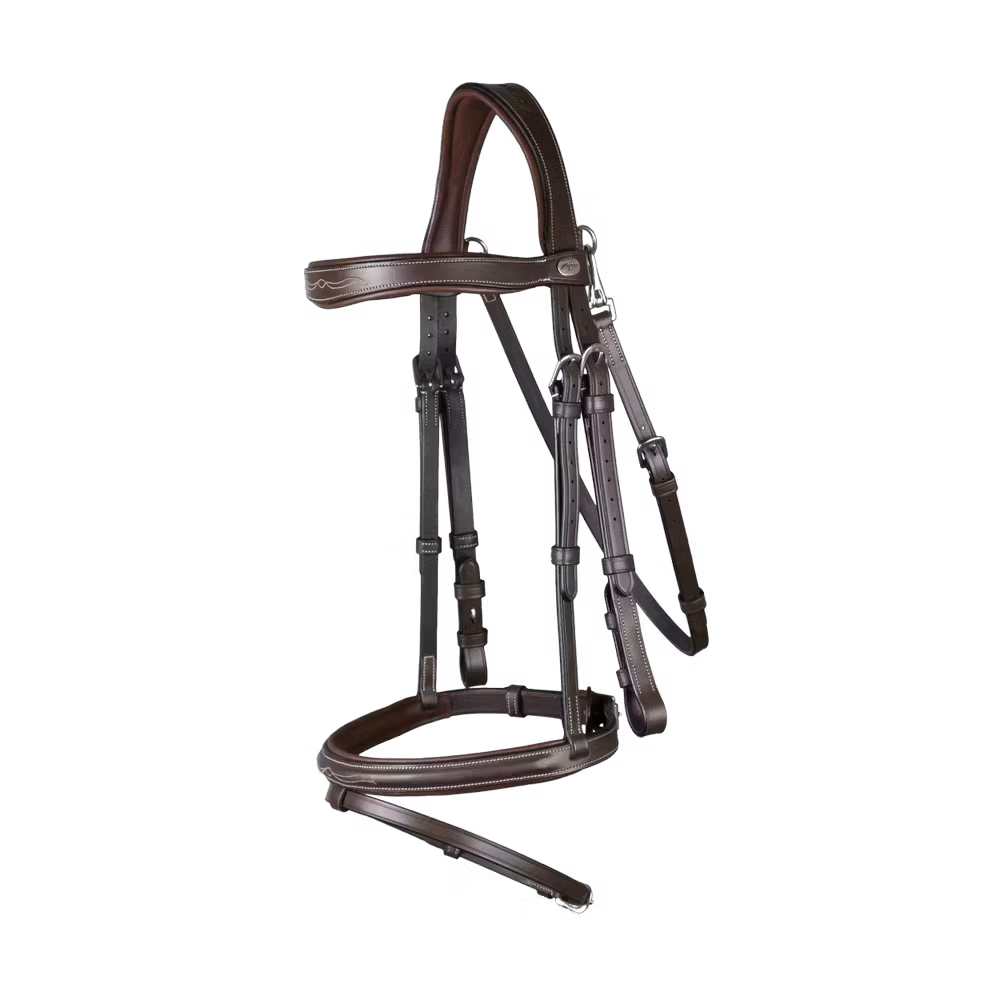 Flash Noseband Bridle With Snap Hook