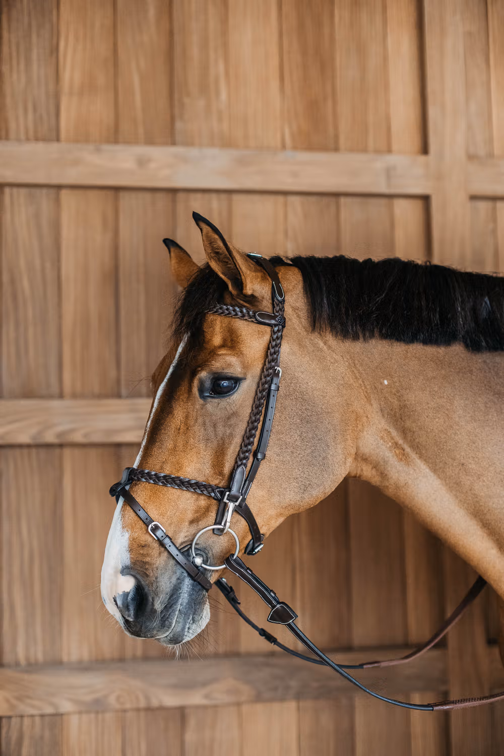 Plaited Training Bridle