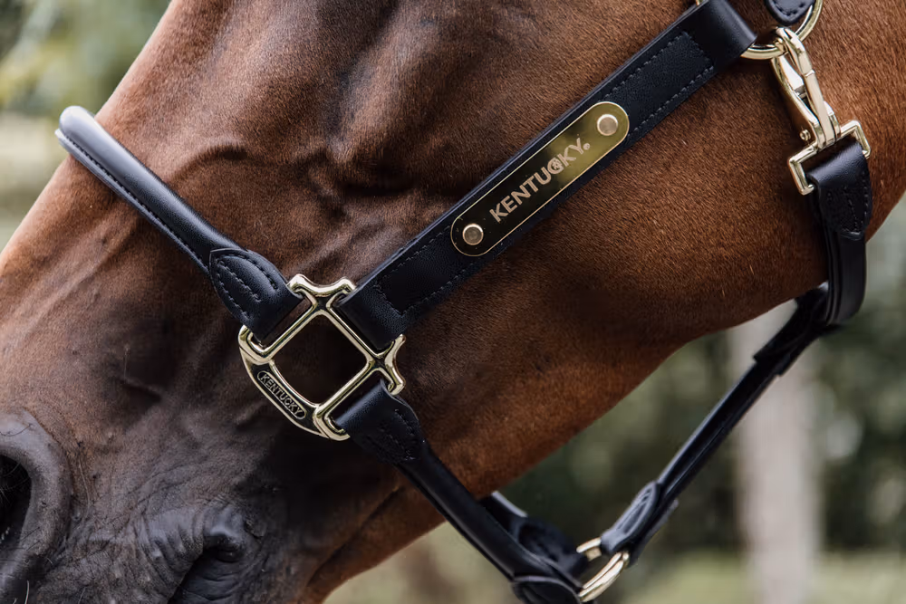 Name/Logo plate Halter gold