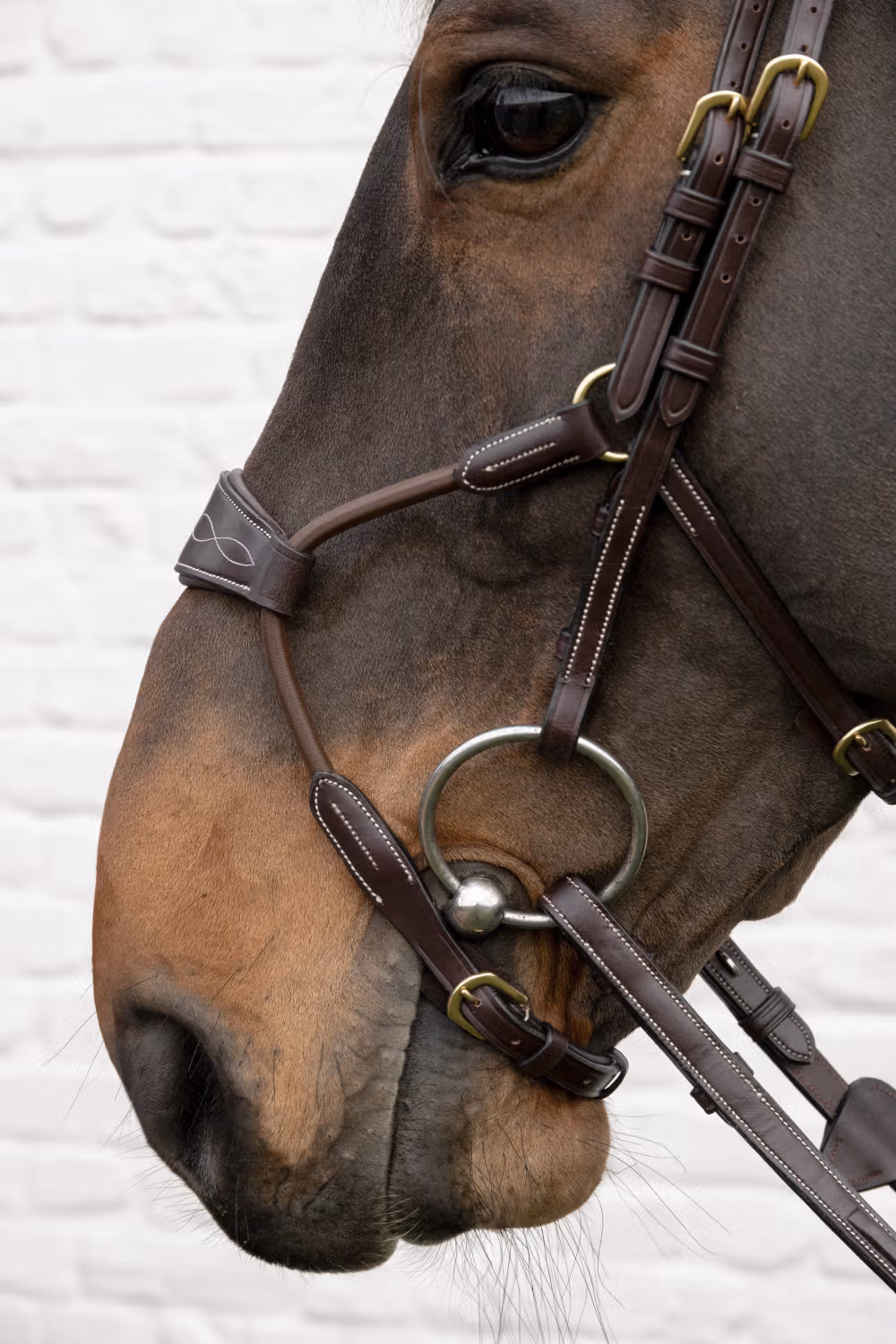 Elastic hybrid noseband DY coll, Full/brown