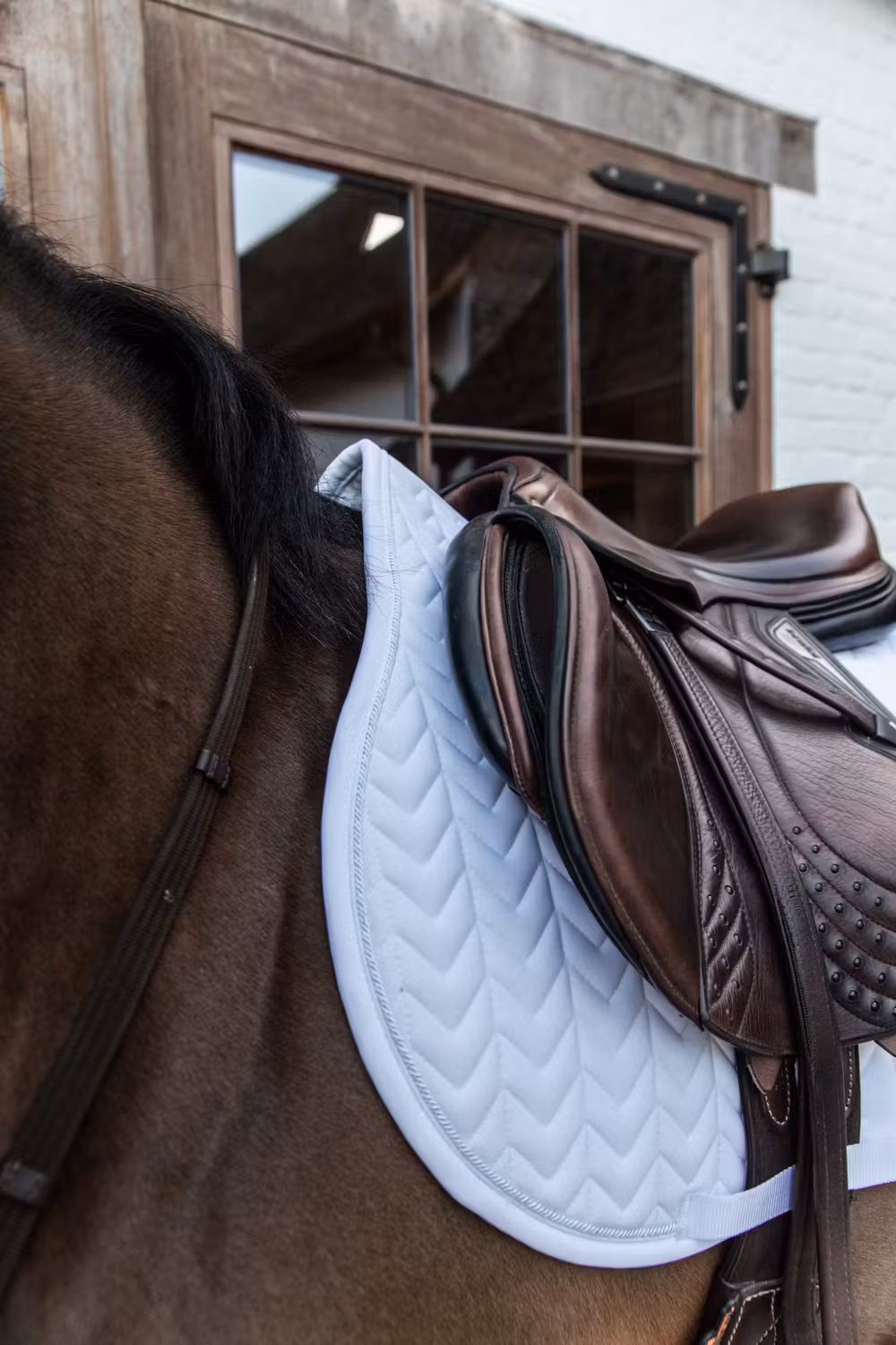 Saddle Pad fishbone competiton show jumping white