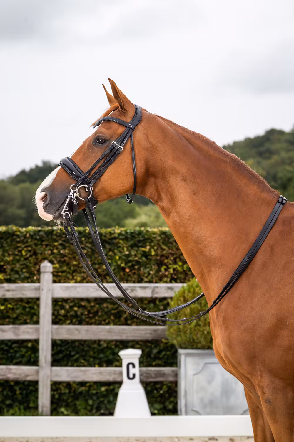 Patent Large Crank Noseband Double Bridle