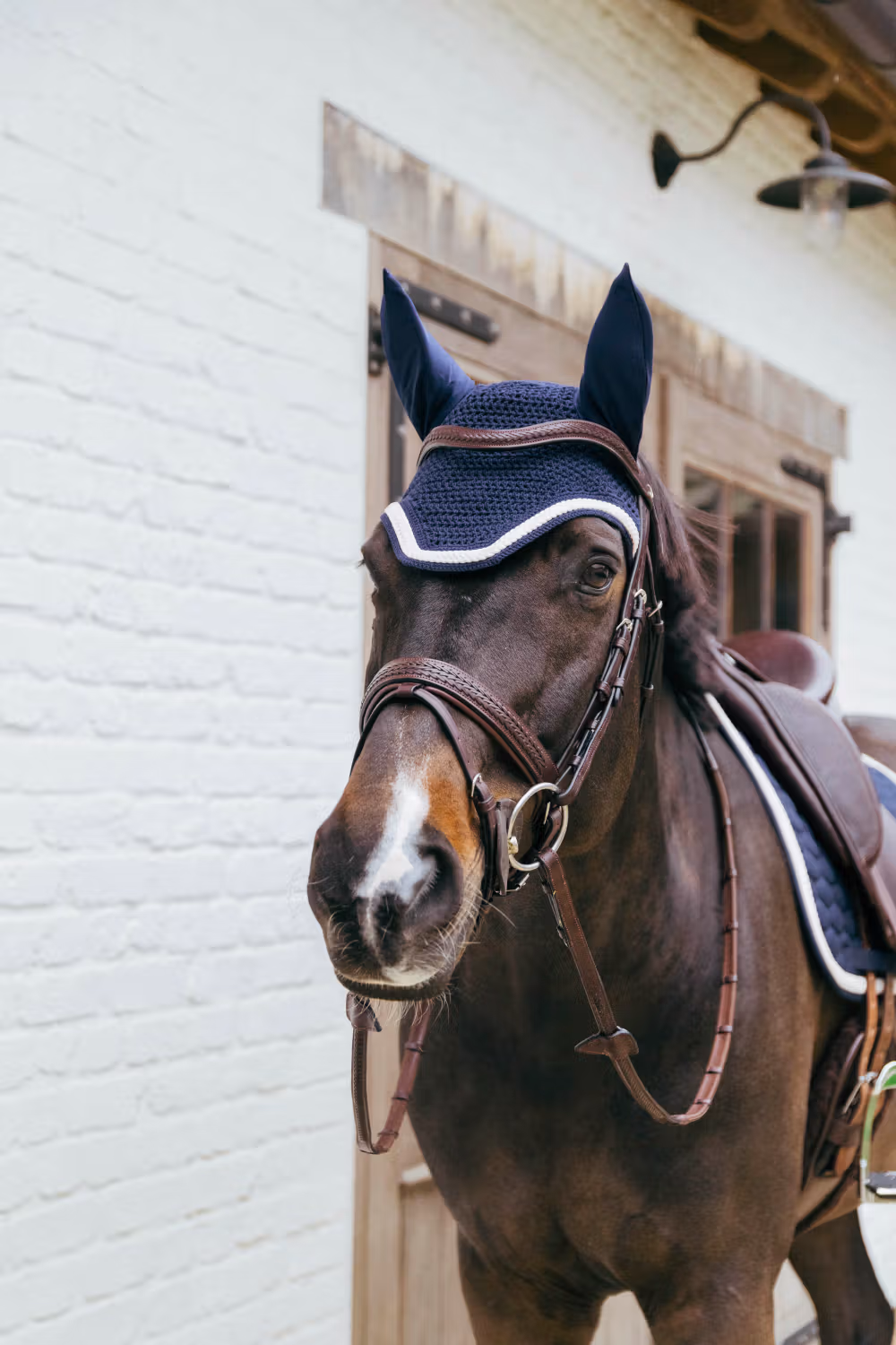 Fly veil Wellington with plaited cord navy Full