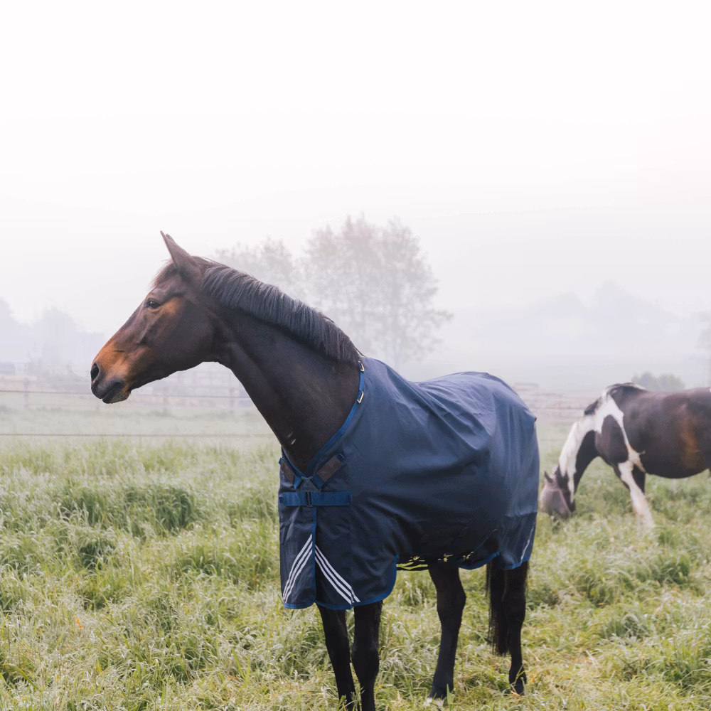 Turnout rug all weather waterproof comfort navy 145-6'6 200 g