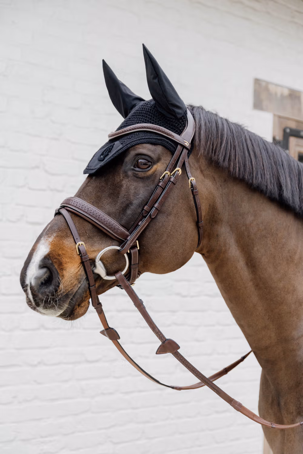 Plaited Flash Noseband Bridle with Pull back Brown Full D Collection