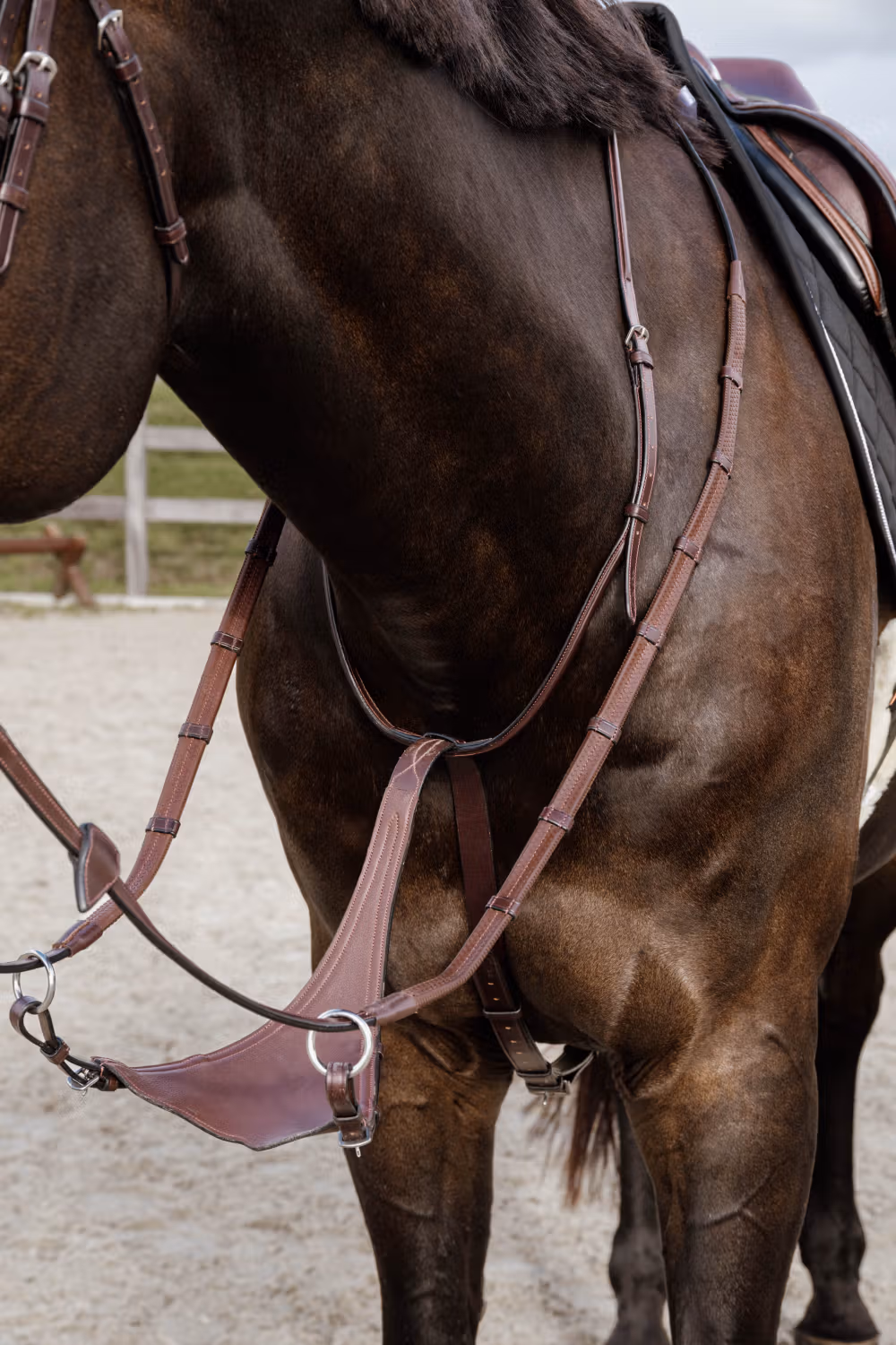 Soft leather BIB Martingale NE coll, Full/brown
