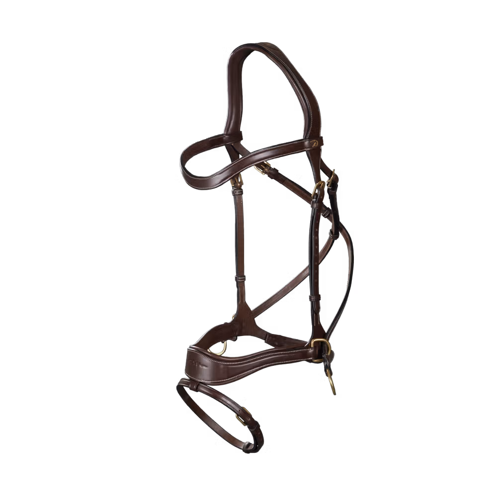 D Motion Bridle