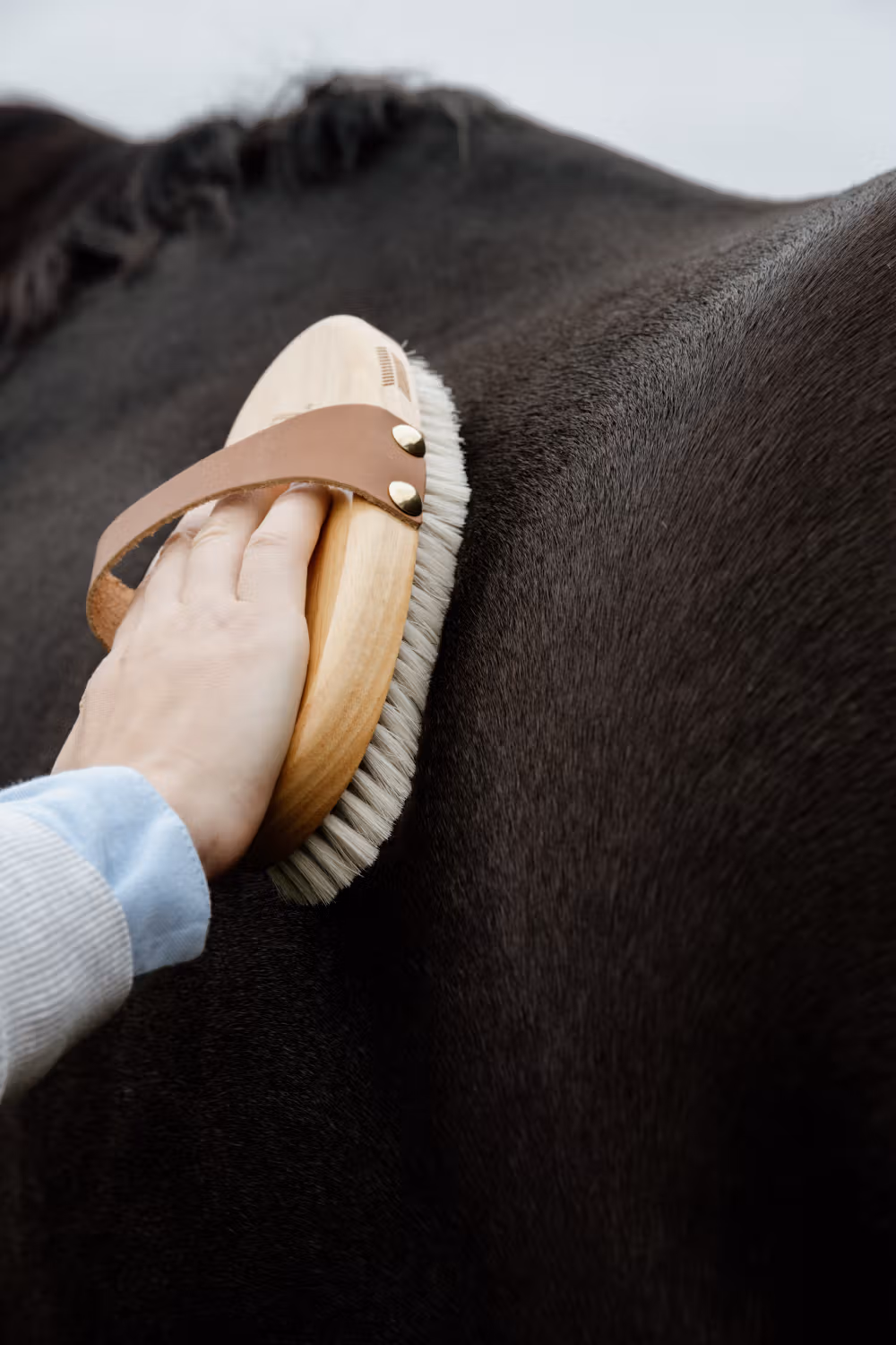 Overall Brush body soft shine