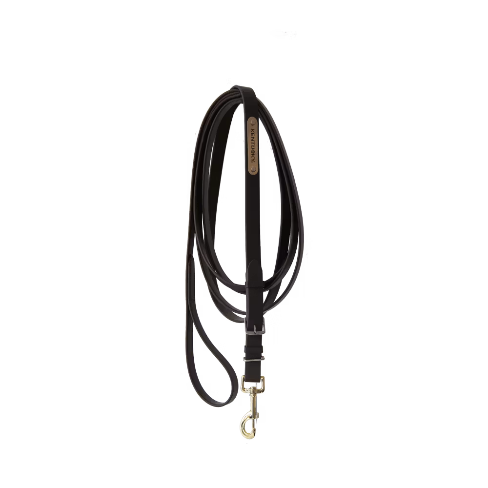 Stallion Lead brown 4m