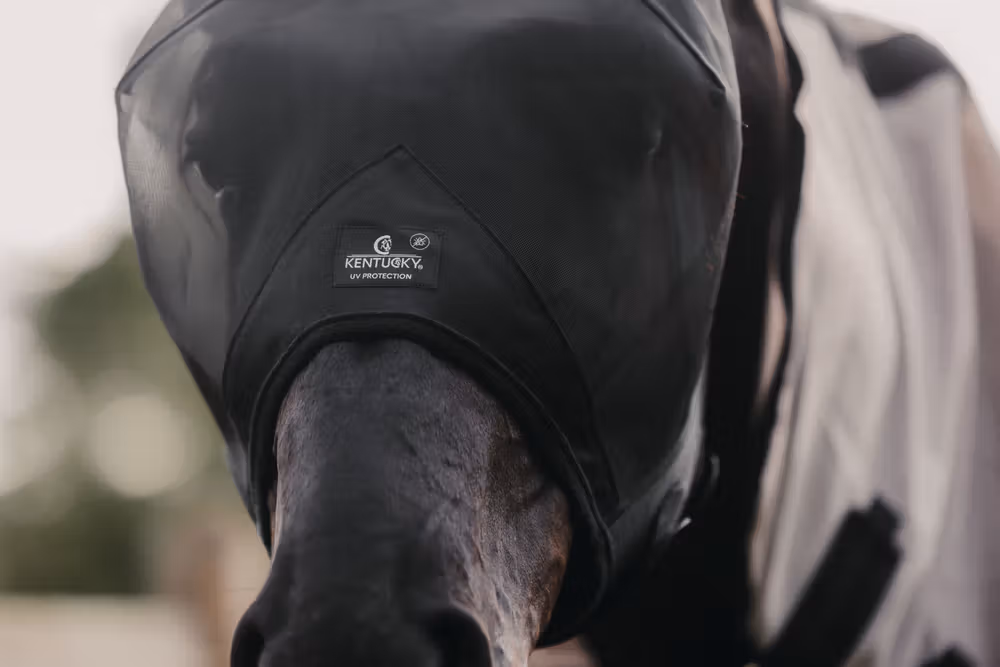 Fly mask classic with ears black Pony