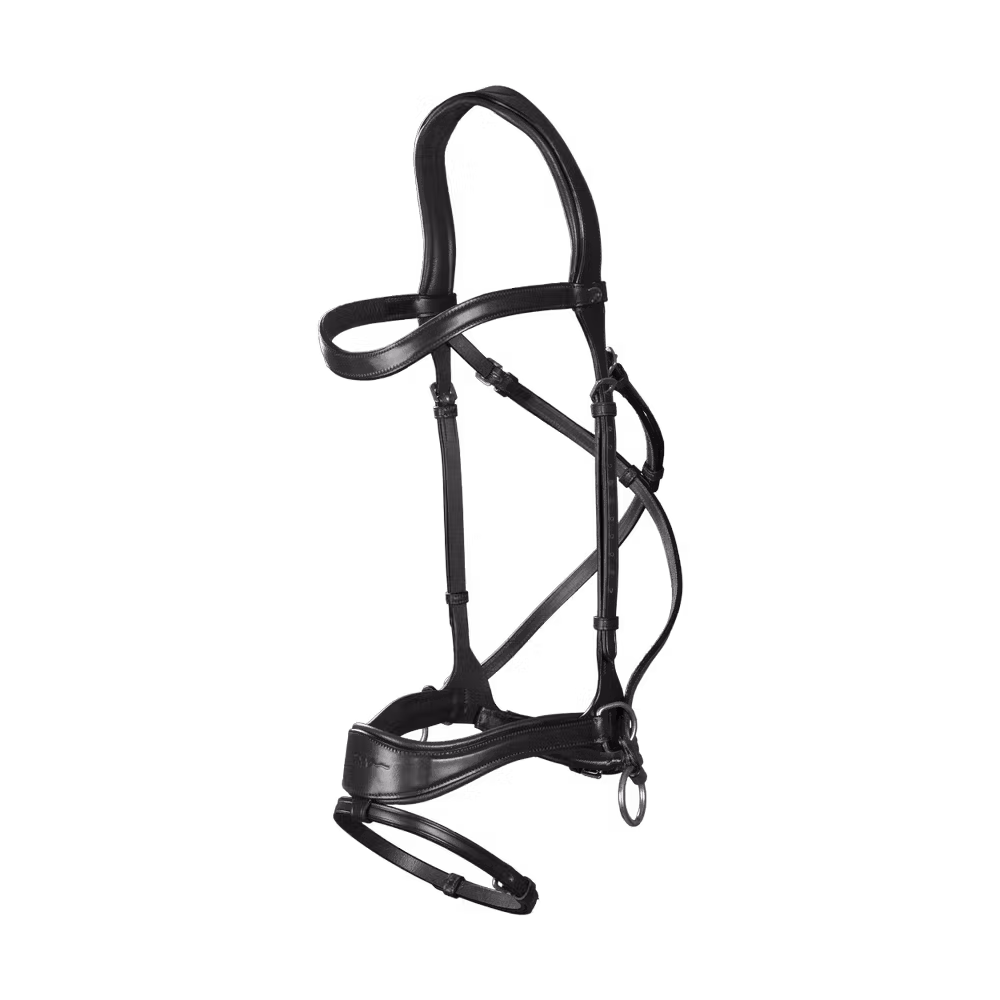 D Motion Bridle