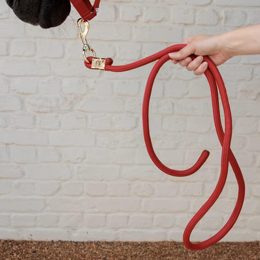Lead rope basic red 2m