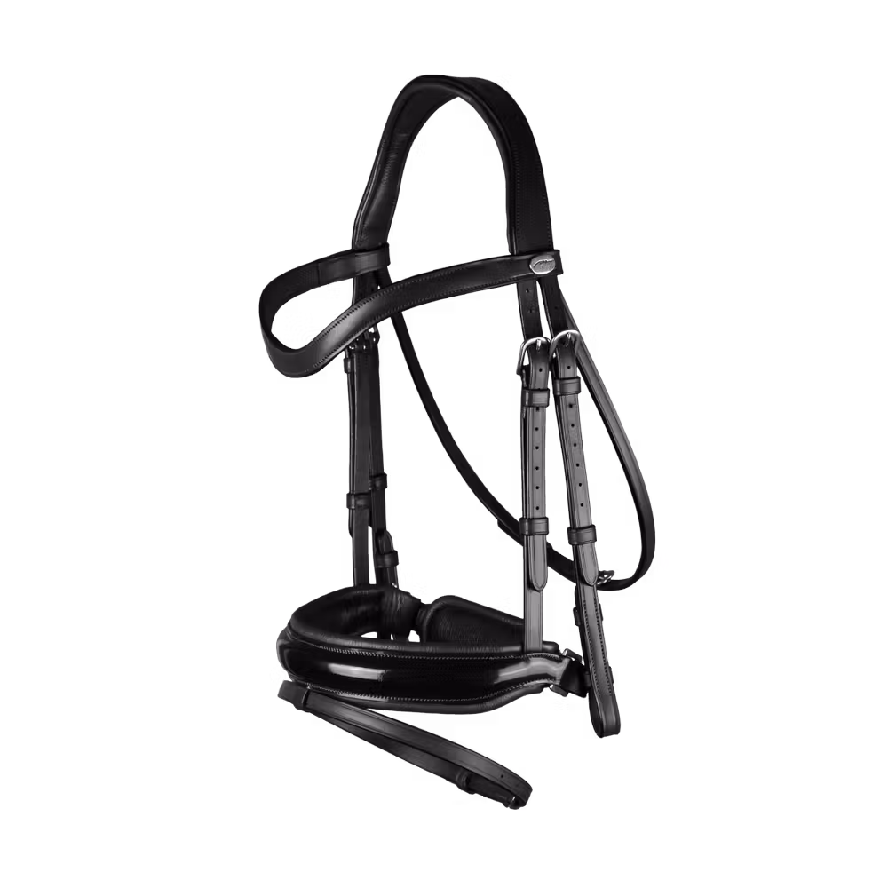 Patent Large Crank Noseband Bridle With Flash