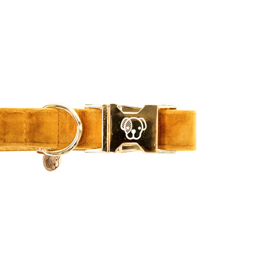Dog Collar velvet old rose M'36-52cm