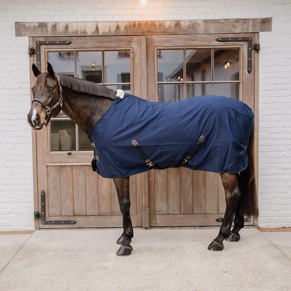 Cotton sheet navy 145-6'6