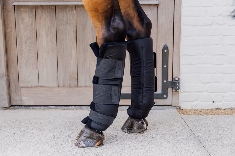 Stable boots PROtect classic hind black size L